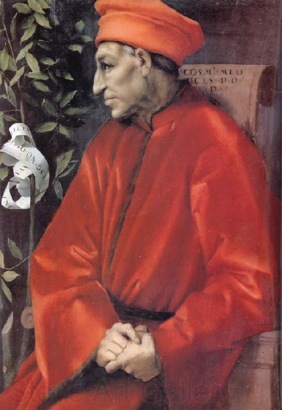 Jacopo Pontormo Cosimo de Medici the Elder Spain oil painting art